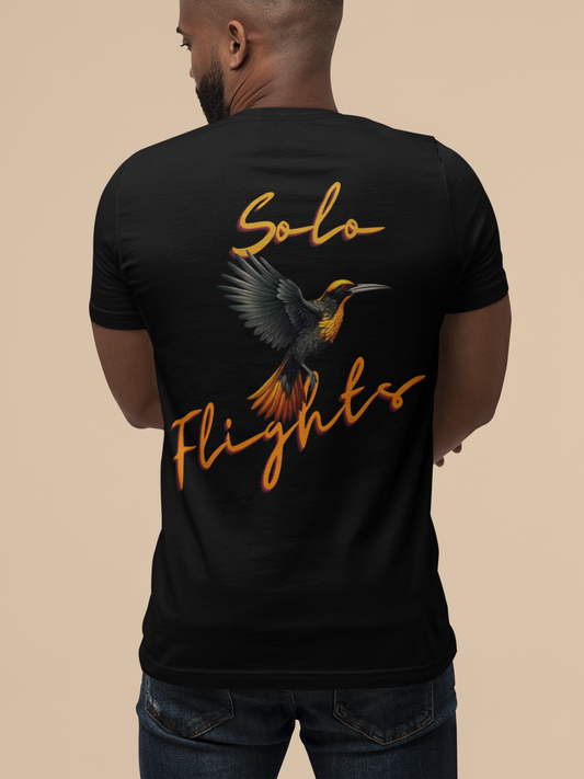 Solo Flights